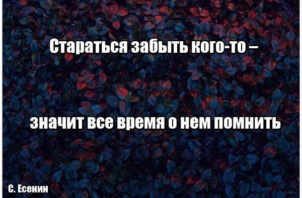 Стараться забыть значит все время помнить. Стараться забыть кого-то значит все время о нем помнить. Пытаться забыть человека значит. Человек забыл. Знаю забыл знаю не ждешь