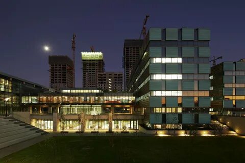 Школа тетра