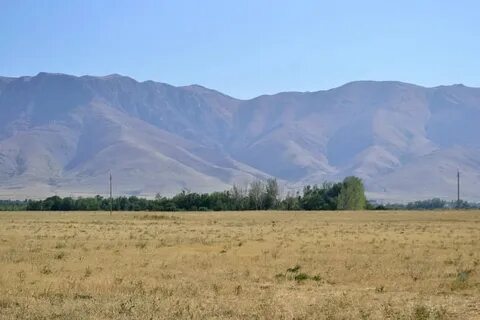 Тараз село
