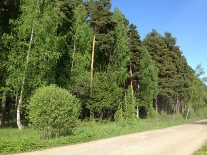 Чернцы ивановская область