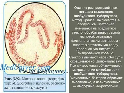 Возбудитель выделяет