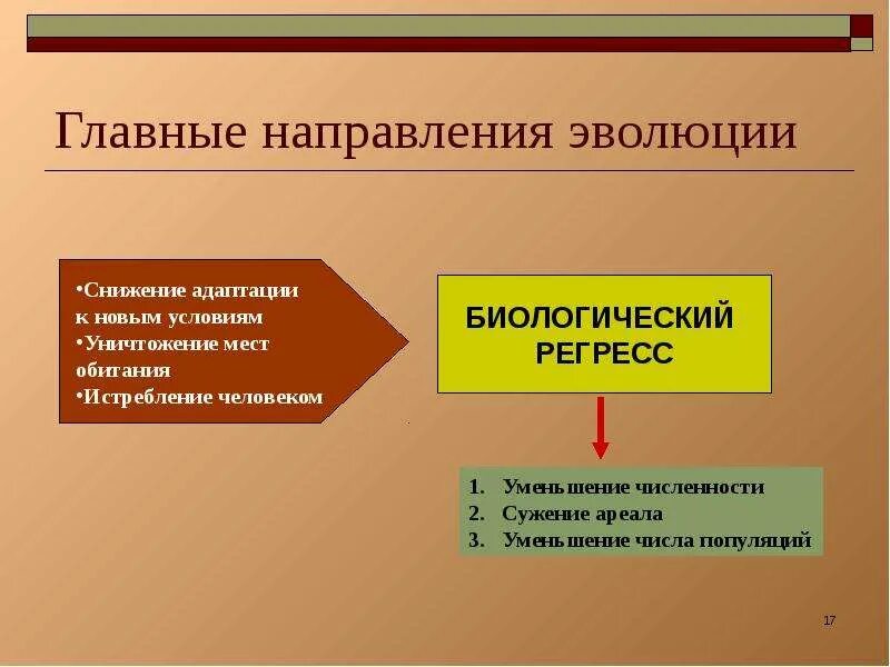 Закономерности направления эволюции. Основные направления эволюции. Презентация на тему биологический регресс. Снижение адаптации. Главные направления эволюции 9 класс презентация.