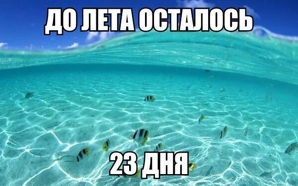 Ровное время до лета. До лето асталось. до лета осталось. до лета осталось 2 дня. картинка до лета осталось.
