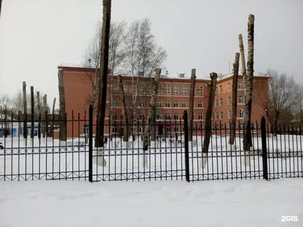 Гимназия 1 пермь