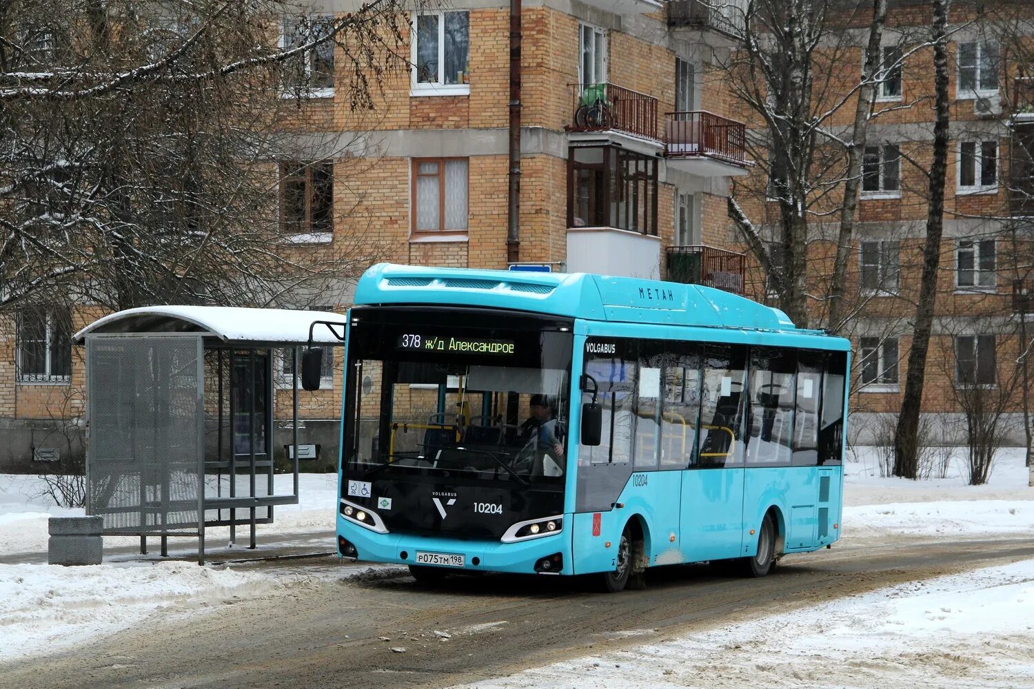 243 автобус маршрут санкт петербург
