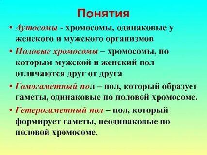 Какие хромосомы определяют пол