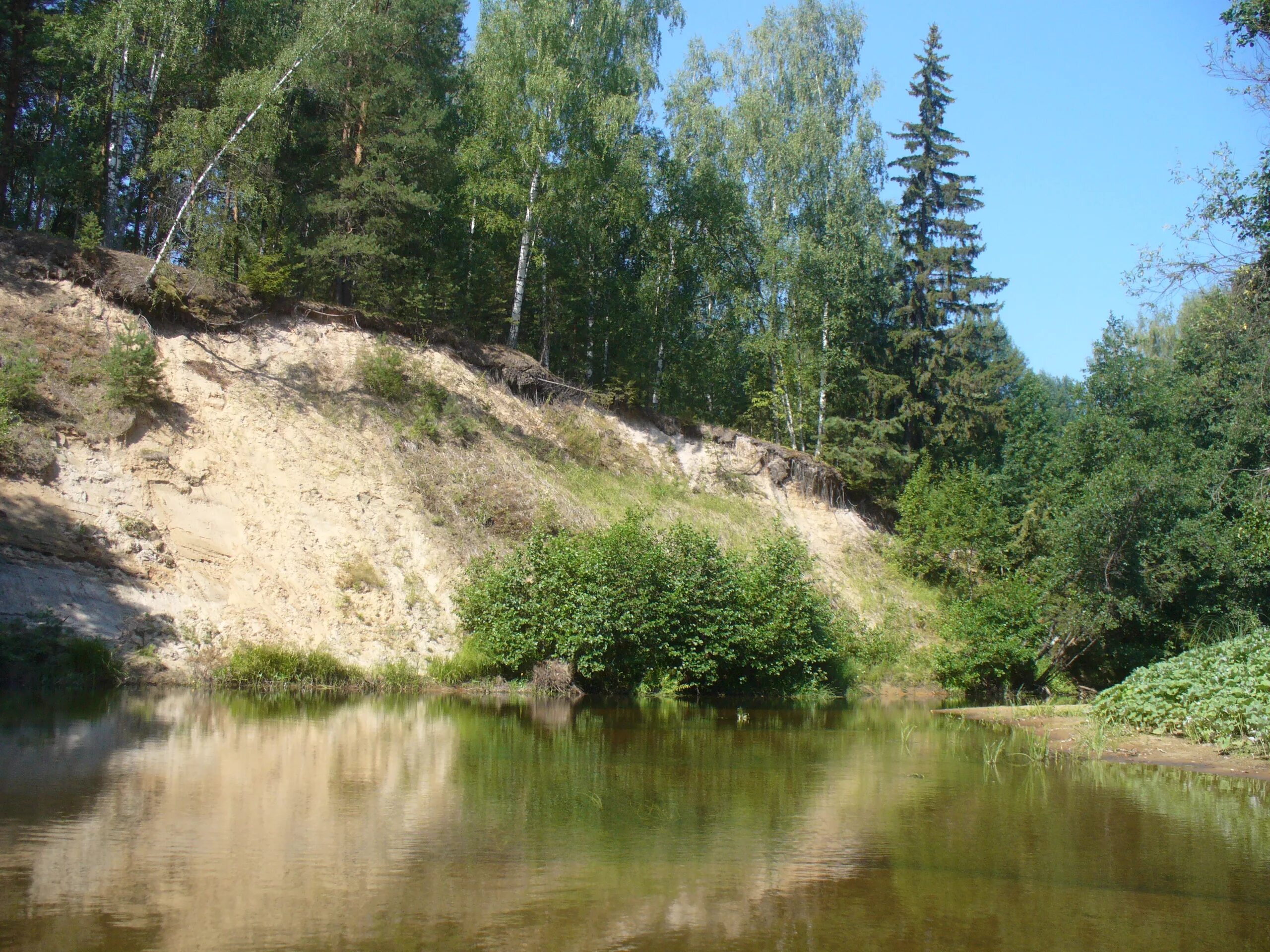 Исток реки Сережа Нижегородская область. Речка Сережа в Нижегородской области.