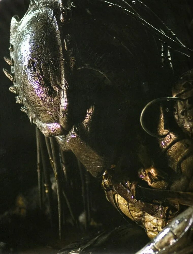 Чужие против хищника: реквием фильм 2007. Чужие против хищника реквием фильм 2007 чужие хищник. Чужие против хищника реквием отзывы. Чужие против хищника реквием 2007. Чужой против хищника фильм 2004.