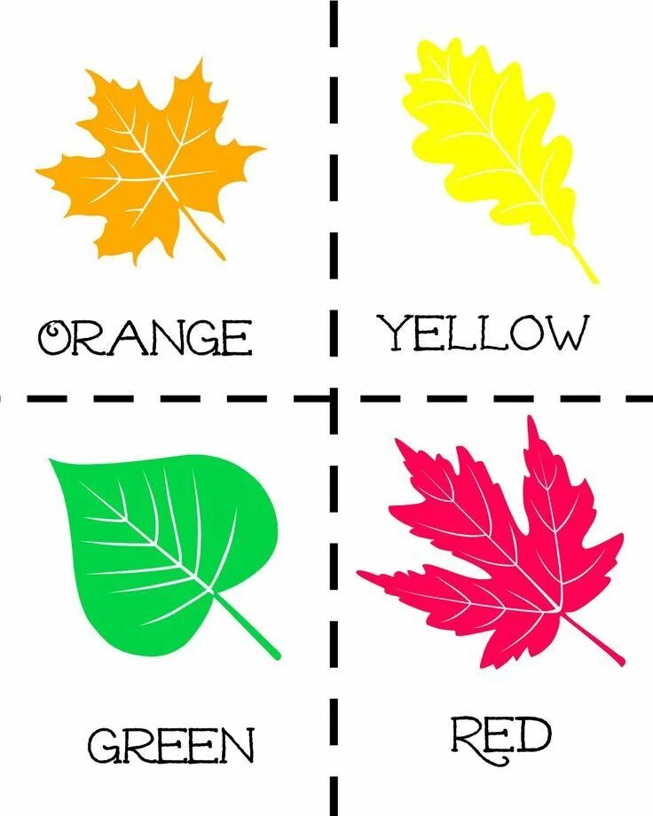 Leaf flashcards for kids. Осень по английски. Autumn leaves for kids. Стихи на английском про осень для детей. Leaf leaves карточки.