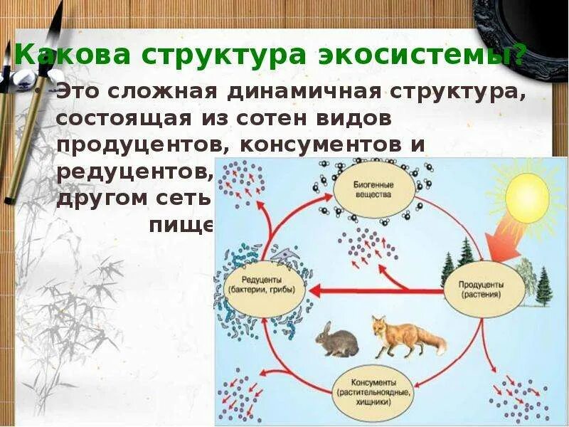 Причины устойчивости экосистем. Причины устойчивости и смены экосистем. Экосистема редуценты продуценты. Изменения в экосистемах схема. Устойчивость природной экосистемы