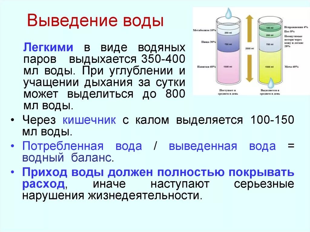 Вывод жидкости из легких. Выведение воды. Какая кислота легче воды