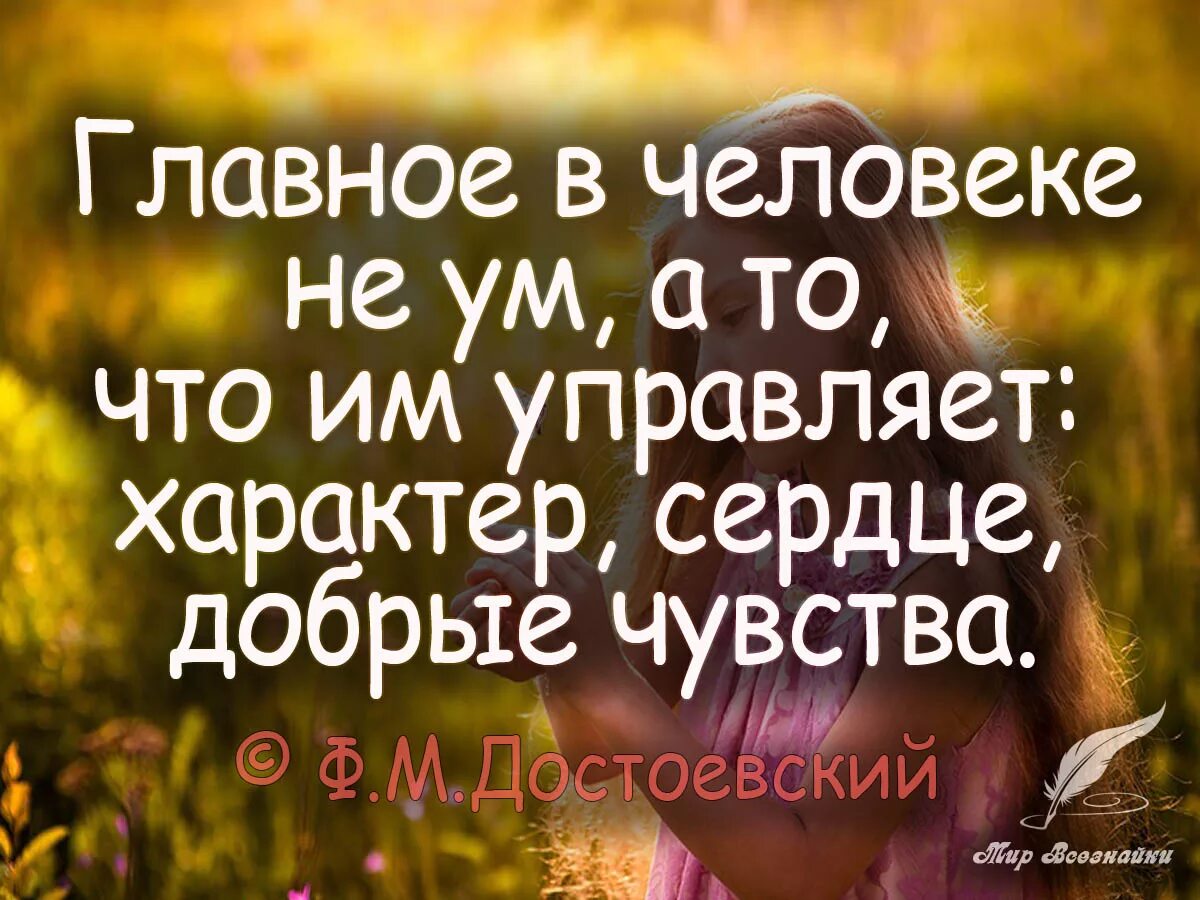 Дайте свое объяснение смысла высказывания добро. Цитаты. Добрые высказывания. Умные мысли про хорошего человека. Умные добрые высказывания.