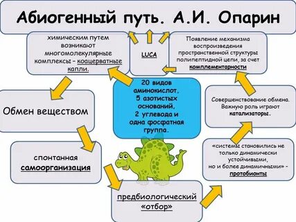 Жизнь возникла путем