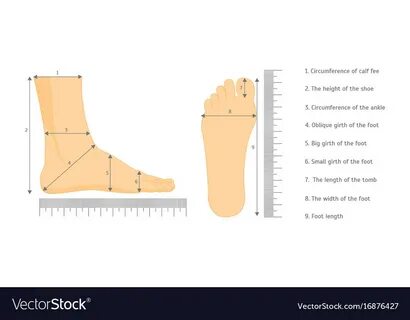 Measured foot