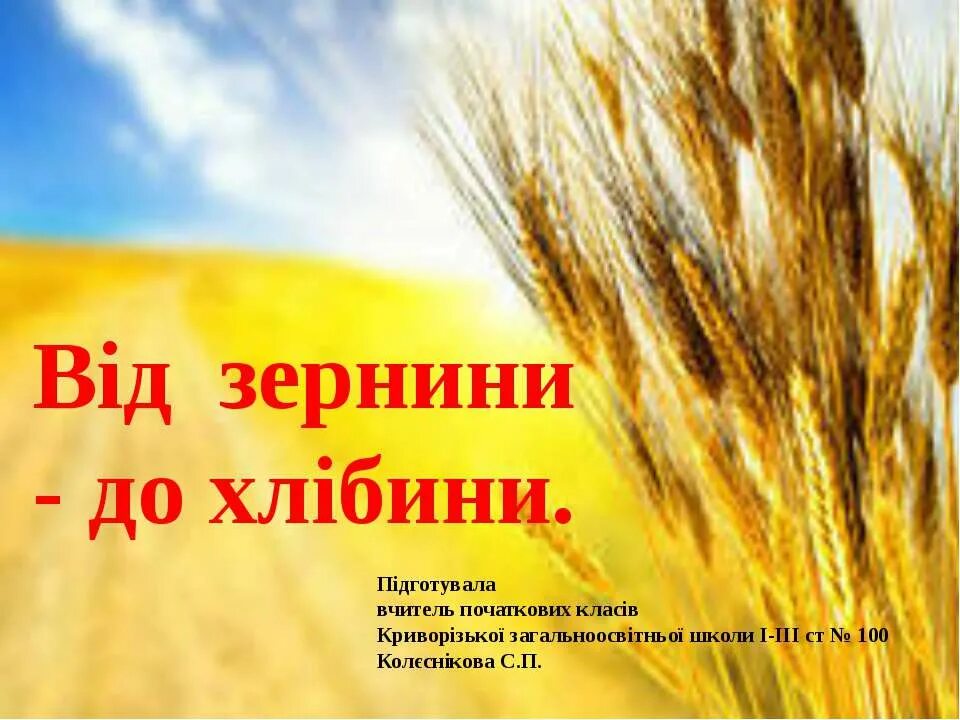 От зернышка до каравая. Хлеб всему голова. Хлеб всему голова. От зернышка до каравая. От зернышка до каравая.