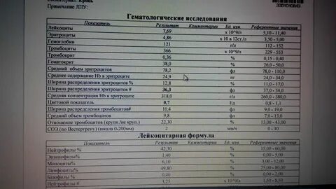Сдать иммуноглобулин на аллергию