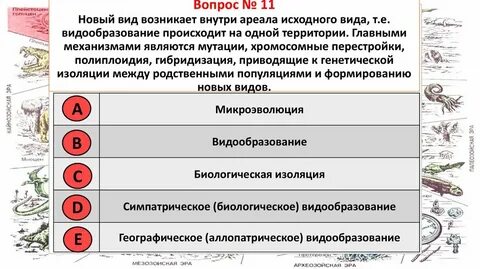 Развитие жизни на земле тест 9 класс