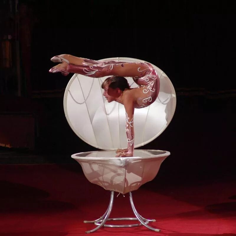 цирковые номера. артисты цирка. цирковые номера видео. «эквилибр-каучук с хула-хупами» – алена ершова. цирковые номера видео.