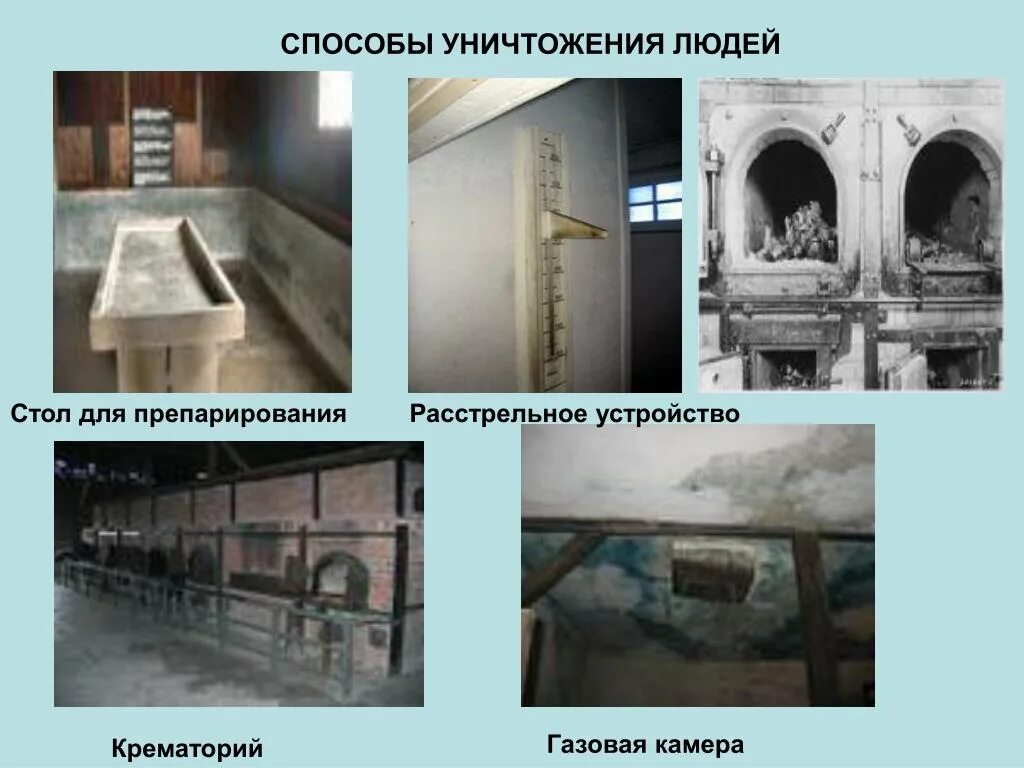 Освенцим газовые камеры. Сименс газовые камеры вторая мировая. План аушвиц биркенау. Газовые камеры в концлагерях. Устройство газовой камеры.