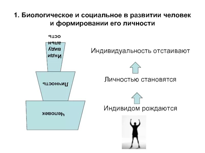 Биологическое и социальное в личности. Биологическое и социальное в развитии личности. Биологическое и социальное в человеке. Социальное и биологическое в личности индивида.