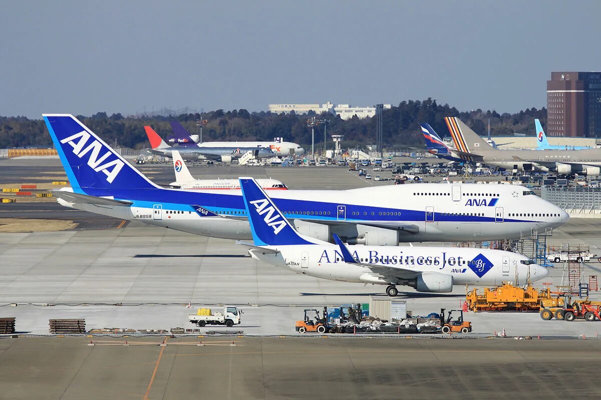 747 И 737. Боинг 737 и 747. Боинг 747 vs 737. Boeing 747 и Boeing 737. Ana b