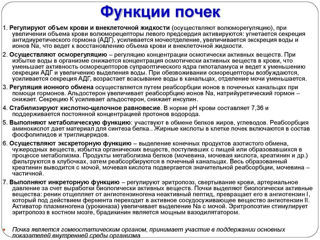 Функции почек. Функции почек в организме человека. Функции почек регулируются. Роль почек в организме человека.