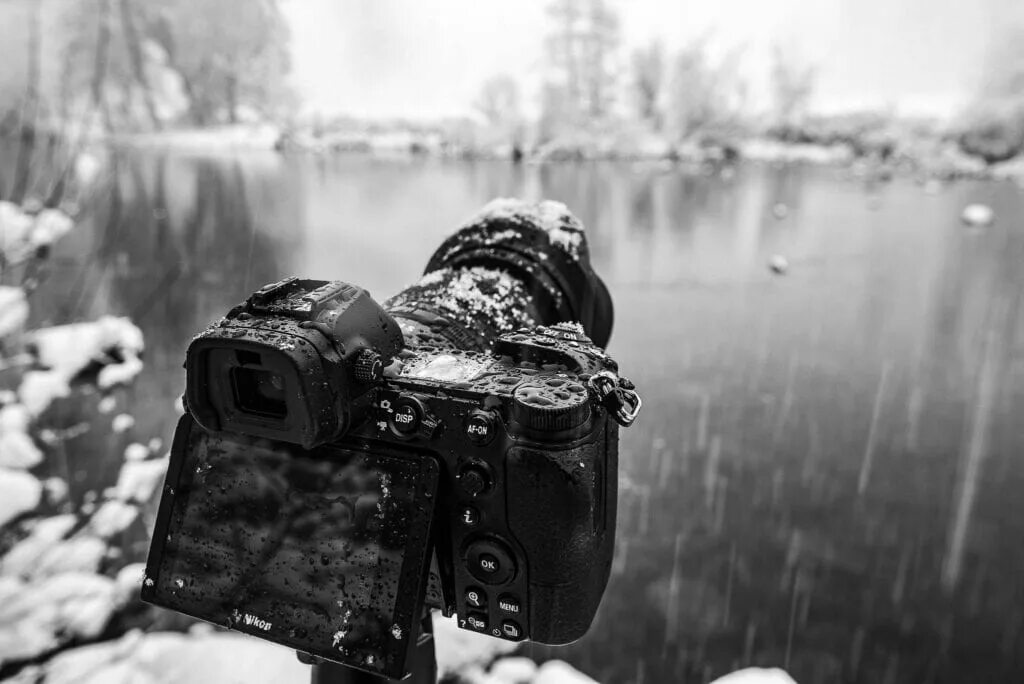 dostava na dom Najboljše oblika nikon z6 2020 prezgodnja garaža občinstvo