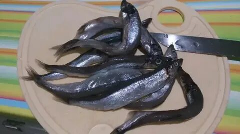 Рыба цаца сириус меню