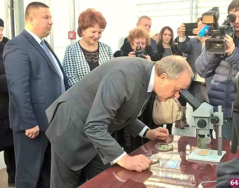 Племенной завод трудовой саратовская область. Агрофирма волга. Агрофирма волга. Агрофирма волга. Ольдеевский совхоз новочебоксарск.
