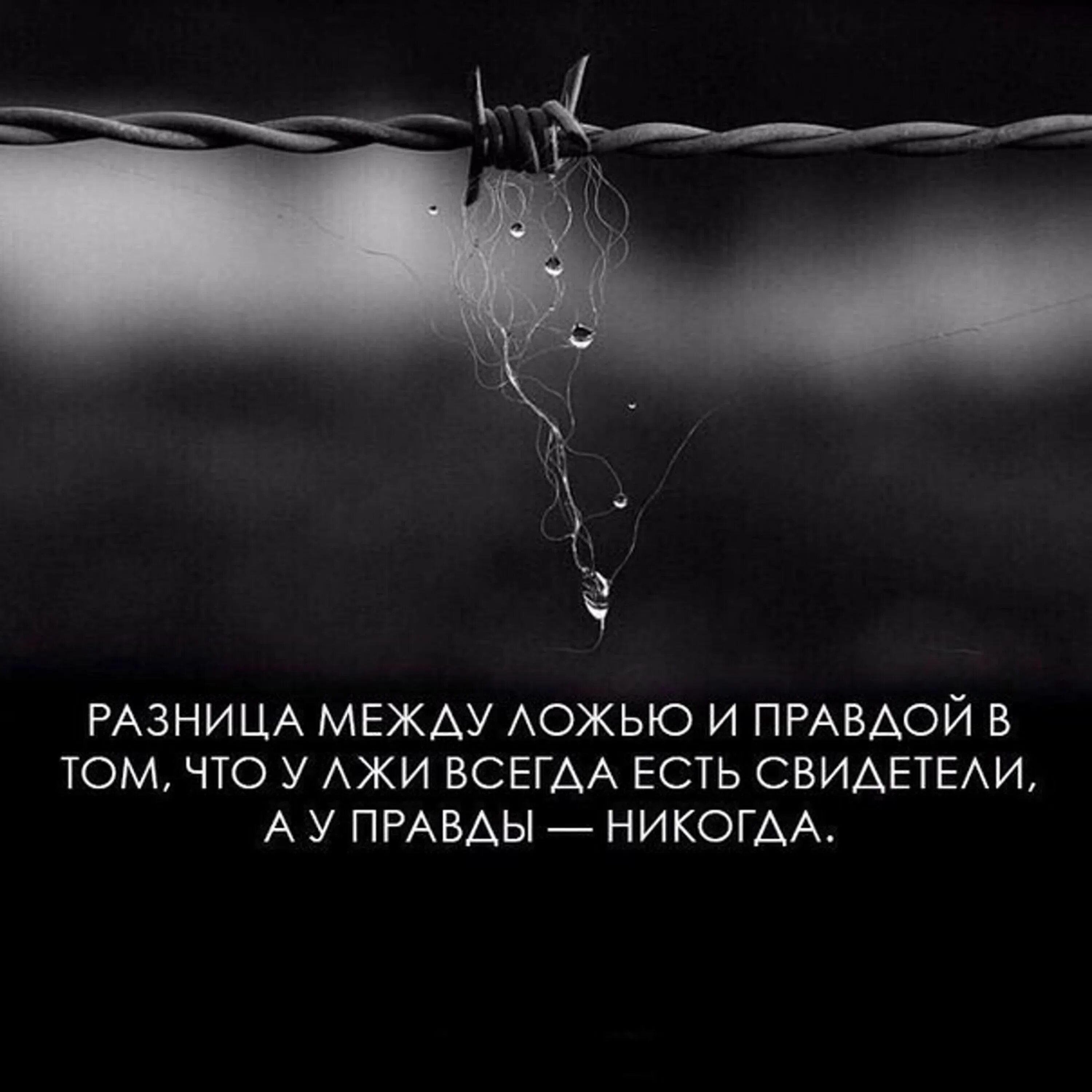 Жизнь во лжи 17
