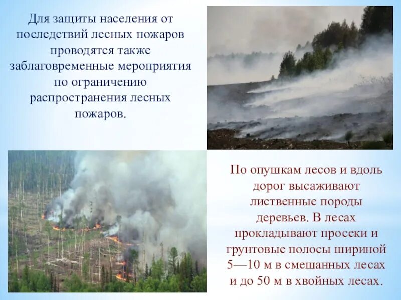 Защита населения от лесных пожаров. Защита населения от торфяных пожаров. Профилактика лесных и торфяных пожаров защита. Последствия лесных пожаров ОБЖ.