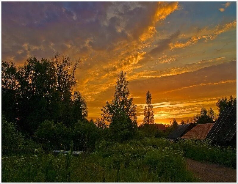 Дивное тепло. Природа солнце. Солнце рассвет. Прекрасного летнего дня. Зорька вятское разнотравье.