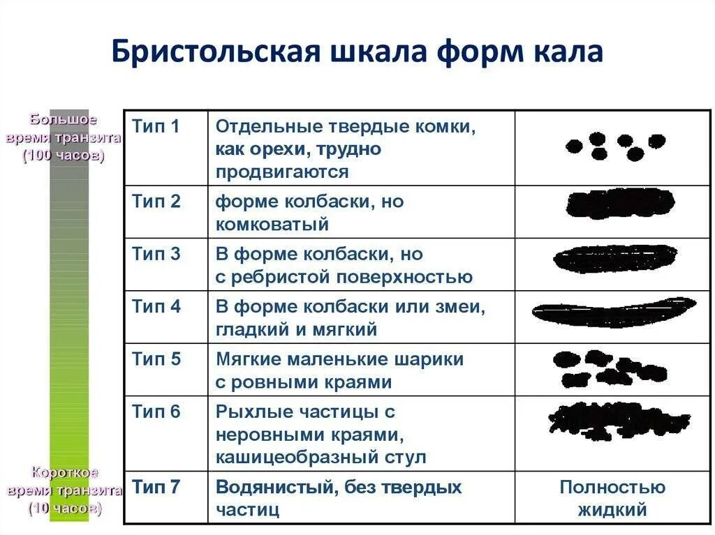 Цвет и форма нормального кала. Изменение окраски кала. Цвет и форма кала у человека.