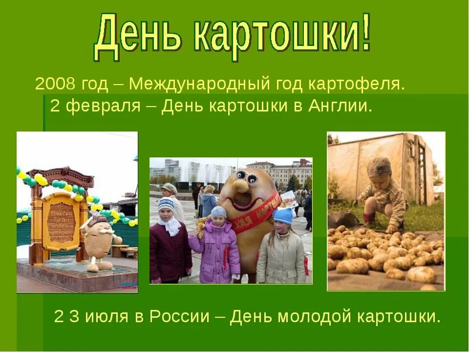 День молодой картошки. Запеченный молодой картофель. Вареная картошка вид сверху. Красивая картошка на праздничный стол. День варки картофеля.
