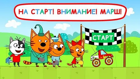 Включи гонки кота
