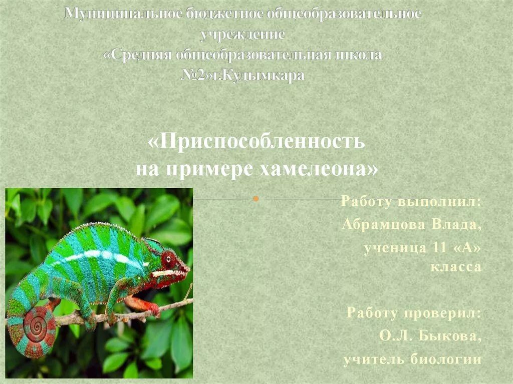 Хамелеоны признаки