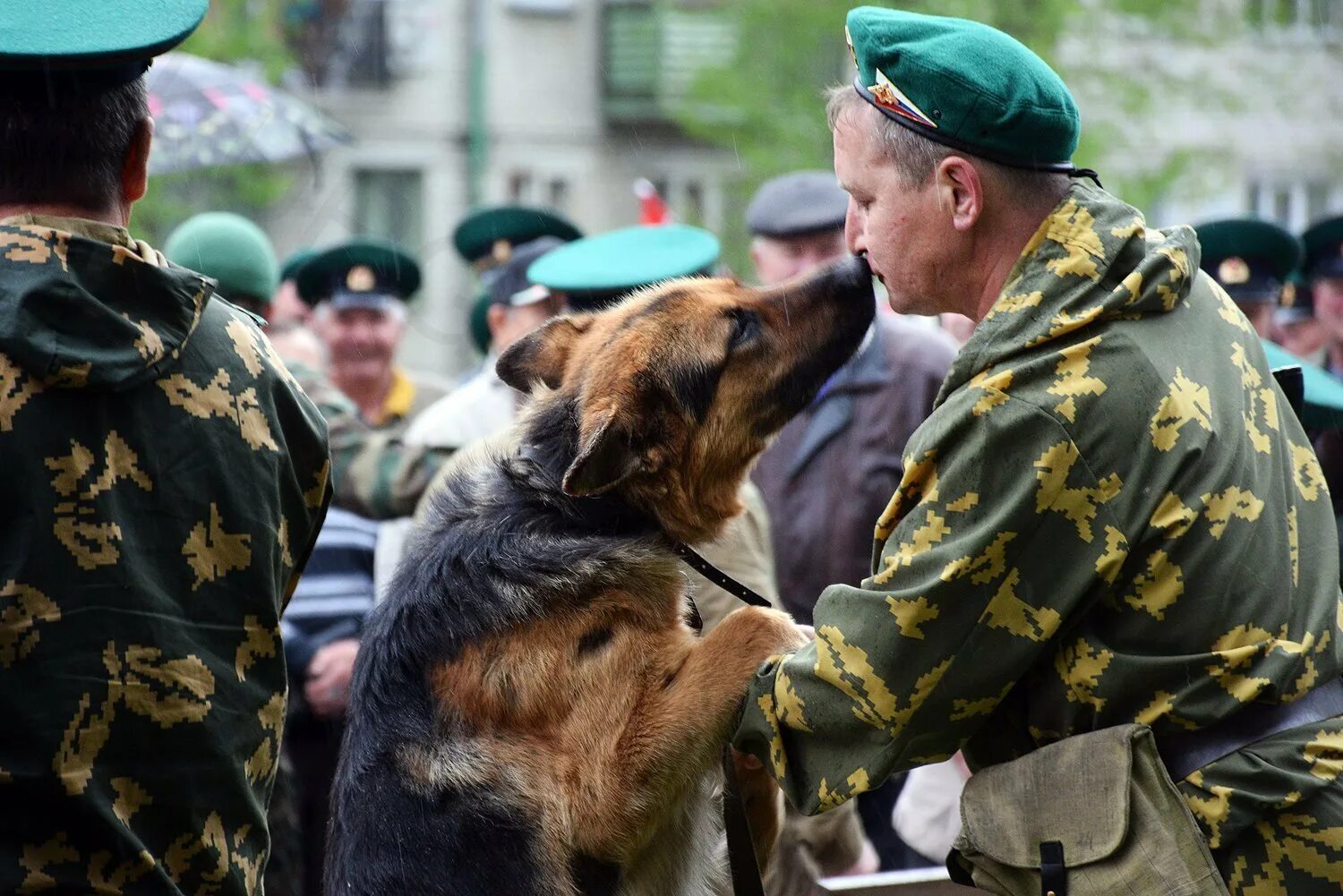 Пограничник пробуждение. День пограничника 2022. Пограничники России. Пограничные войска. Пограничных войсках.