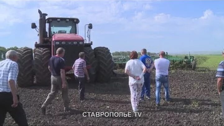 Погода село сергиевское грачевский