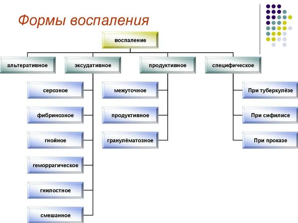Клинико-морфологические признаки инфекционных заболеваний. Классификация форм воспалительной реакции. Формы воспаления схема. Морфологические виды воспаления. Укажите клинико морфологические формы воспаления.