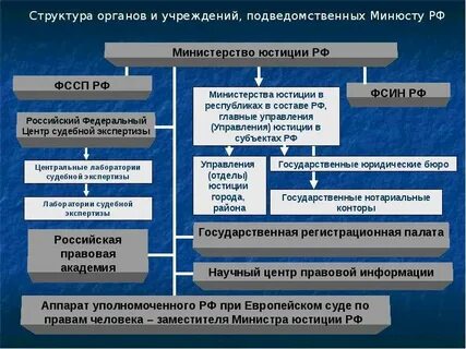 Учреждении системы министерства