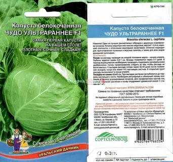 Капуста сорт чудо на рекорд