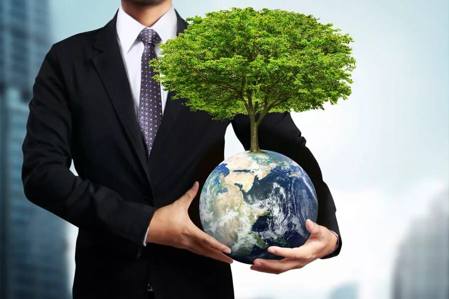 Environmental risk
