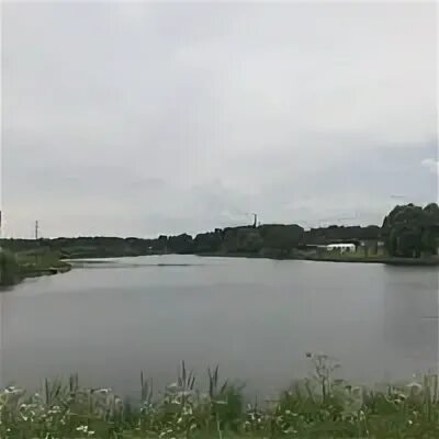 Павшино нефедьево