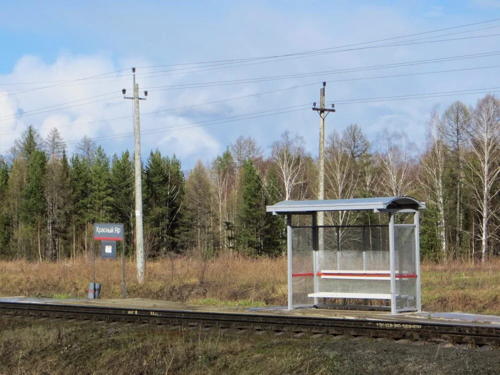 Остановочные пункты железной дороги. Поселок красный Яр Пермский край. Красный Яр Свердловская область Серовский район. Станция 228 км Свердловская ж.д.. Станция Яр.