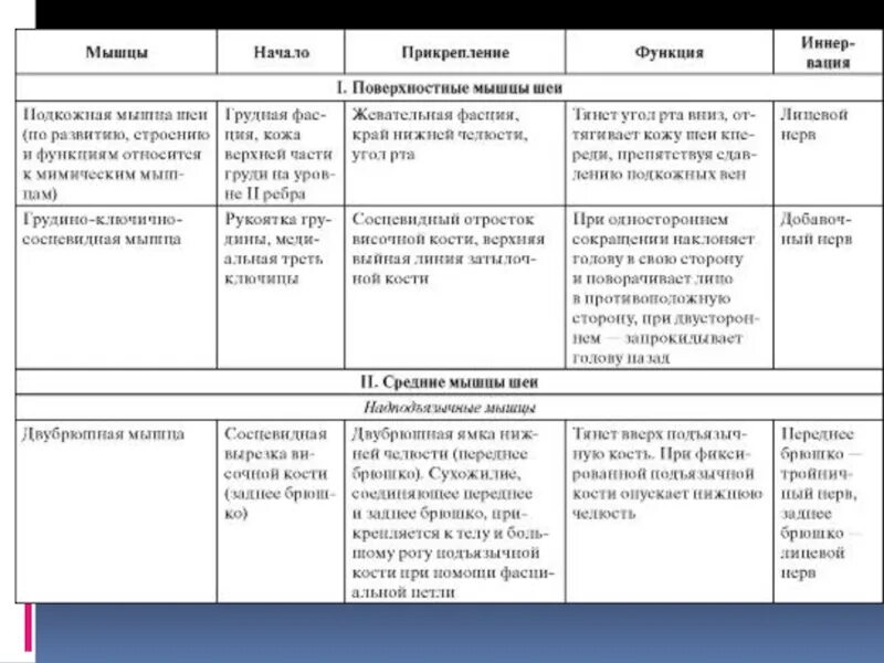 Начало прикрепление функции мышц. Поверхностные мышцы шеи анатомия таблица. Мышцы шеи анатомия таблица функции. Функции поверхностных мышц шеи таблица. Мышцы шеи расположение и функции таблица.