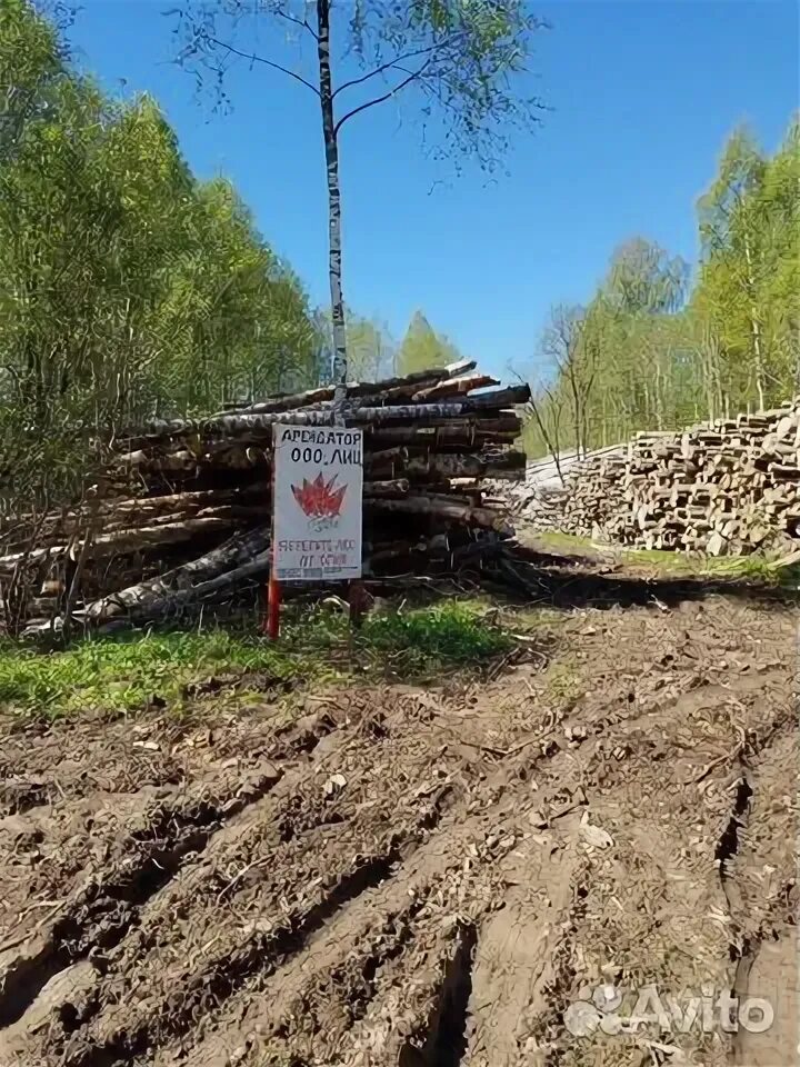 Пожар в лесу. Деляночный столб. Аренда леса на 49. Херсонское лесничество. Великоалександровское лесоохотничье хозяйствофото.