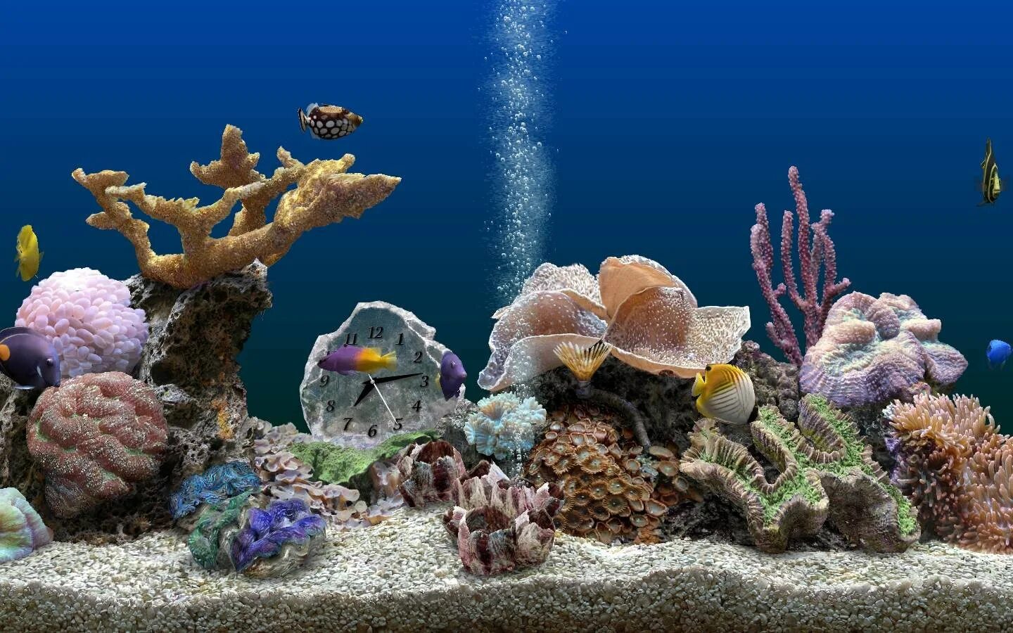 Marine aquarium. Живой аквариум. Фон для аквариума. Скринсейвер рыбки. Заставка живой аквариум.