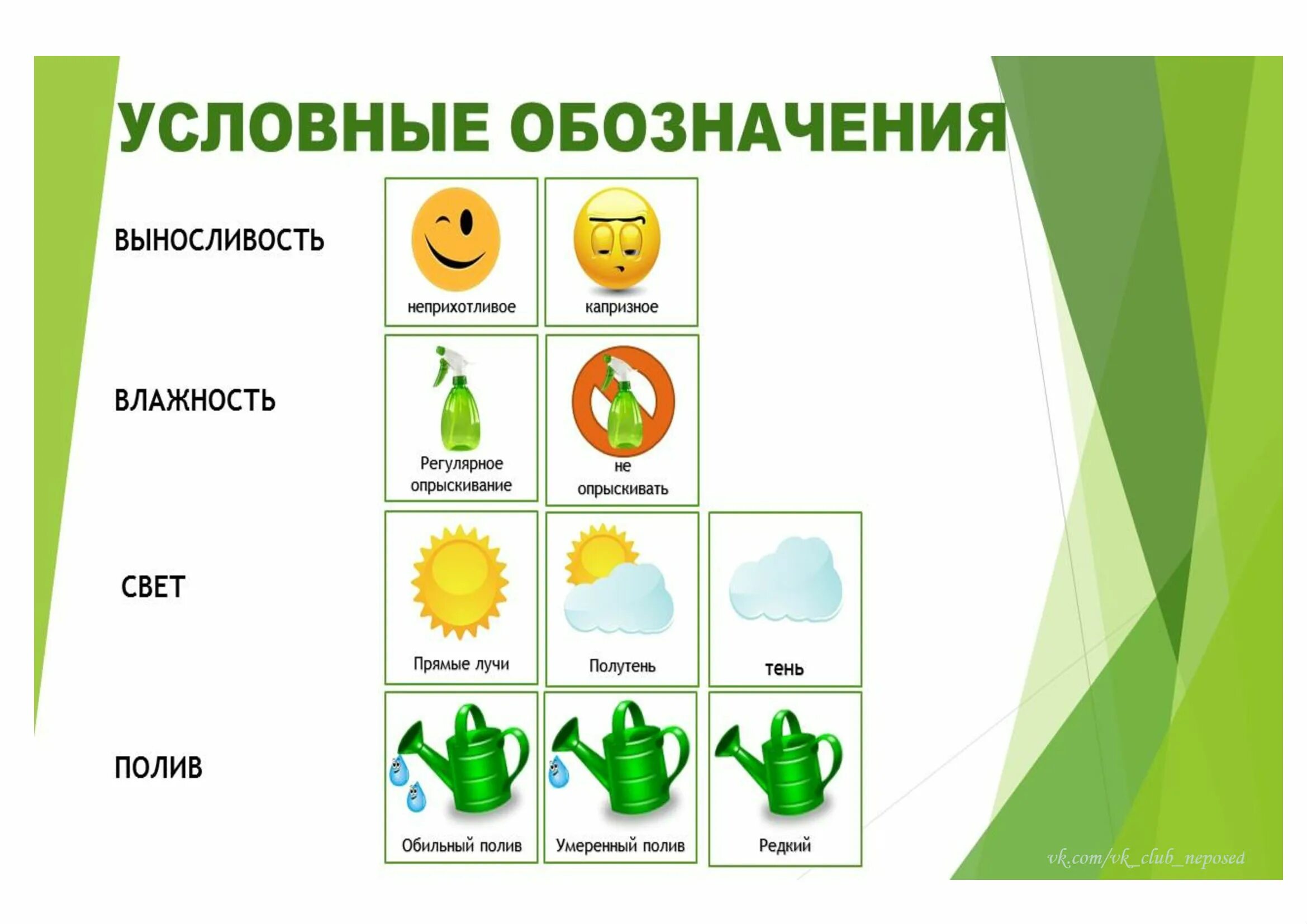 Обозначения для ухода за растениями. Условные обозначения для комнатных растений. Обозначения для растений в детском саду. Маркировка растений в детском саду. Уход за растениями в старшей группе