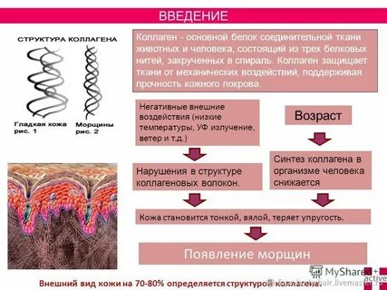 Основной белок волоса