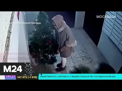 Похитители елок 2005